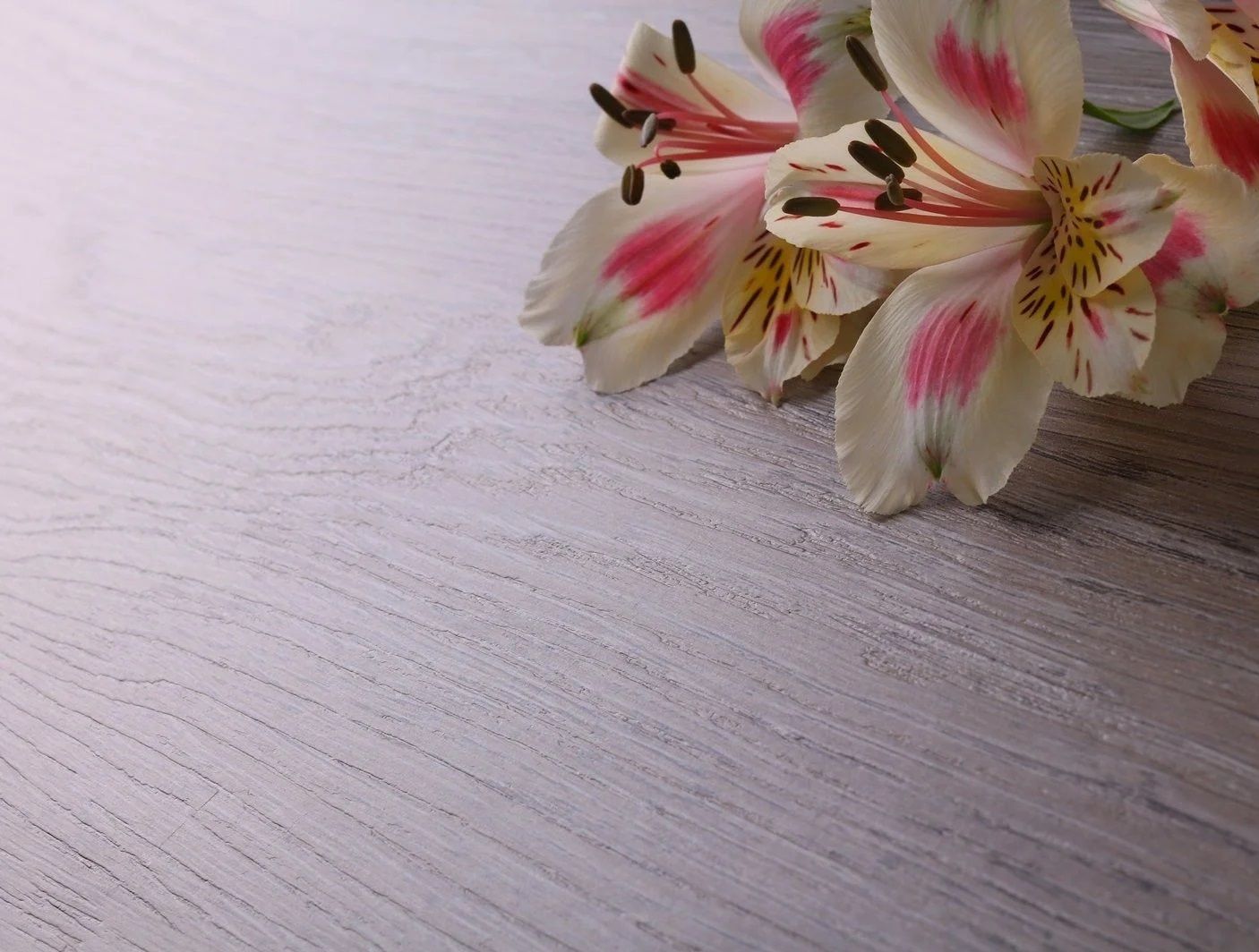 Кухня Mirella Lux фото 3