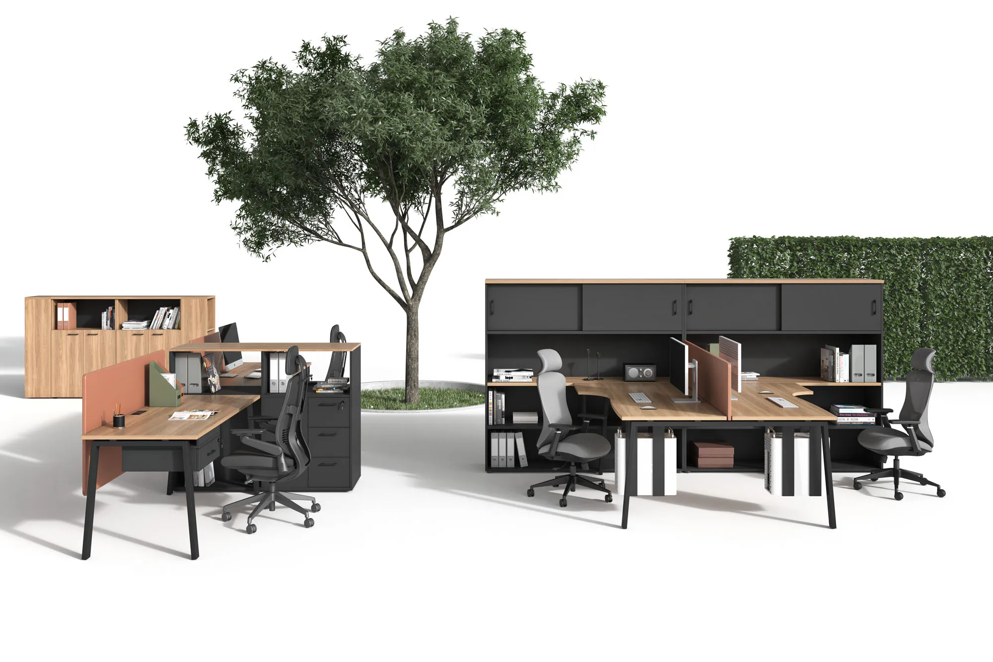 Серия EVOLUTION фото 8