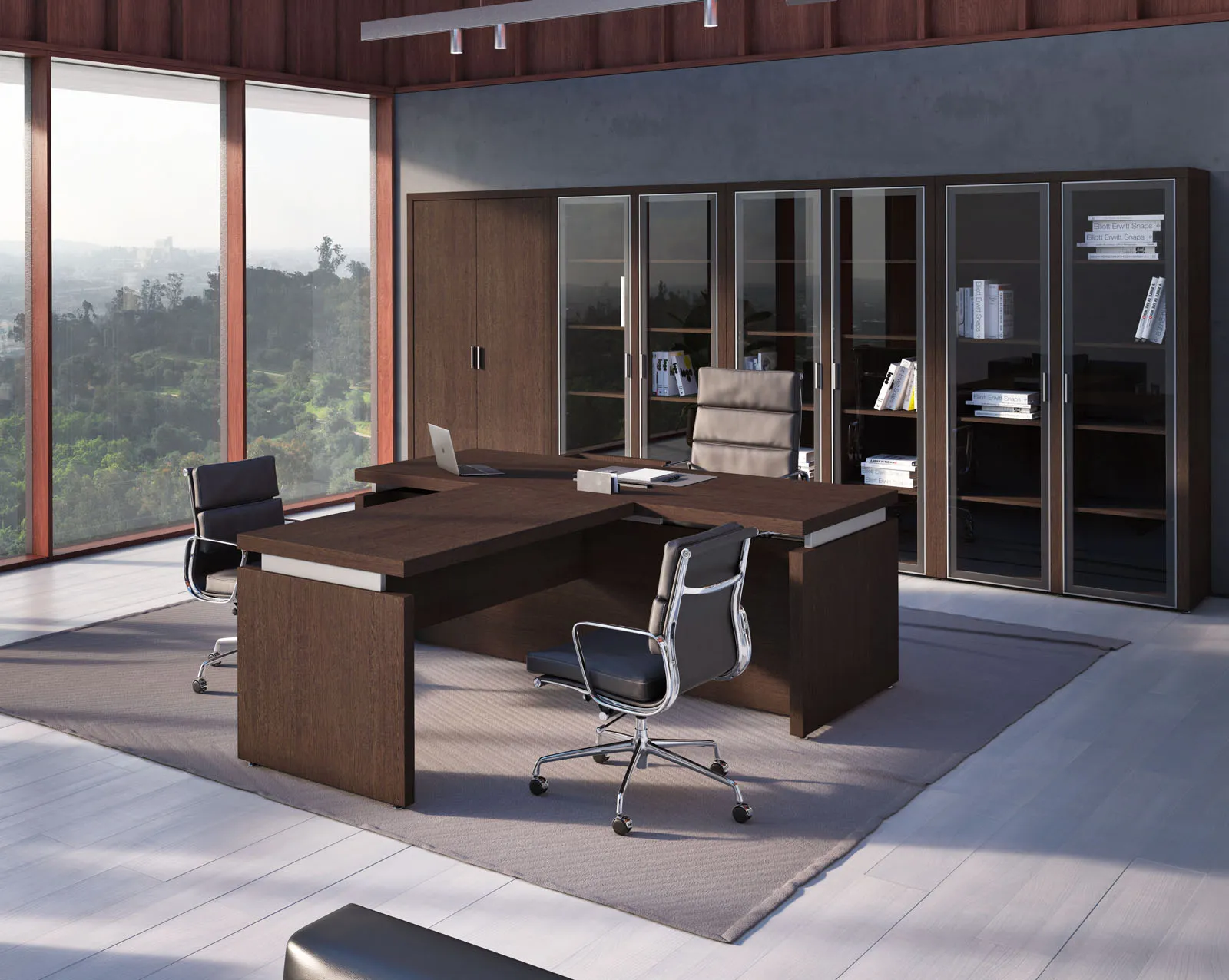 Кабинет TRIUMF фото 5