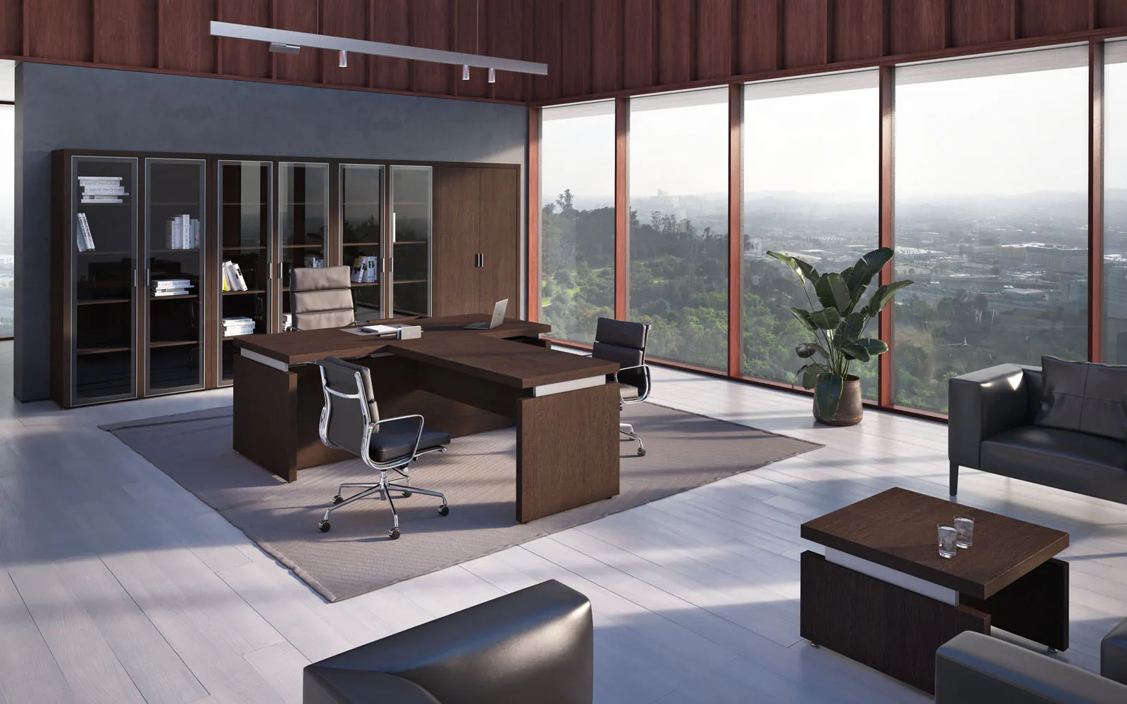 Кабинет TRIUMF фото 2